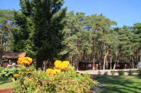 Ośrodek Portus in Miedzywodzie